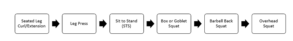 Squat - Exercise In The Spotlight 4 Squat Progression