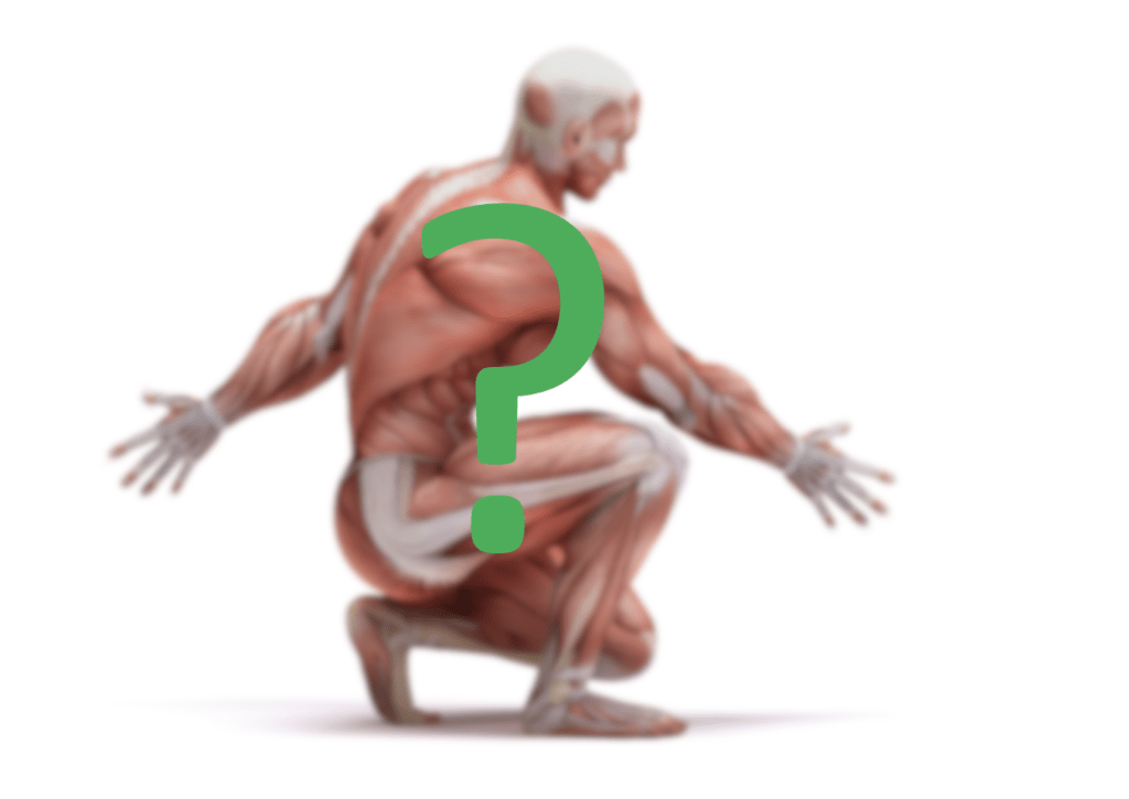What Are My Core Muscles? What Are My Core Muscles?
