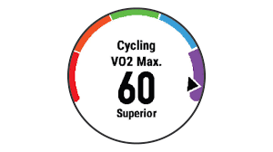 Cardiovascular Disease, What Are The Best Exercises For It? 28 Download 1