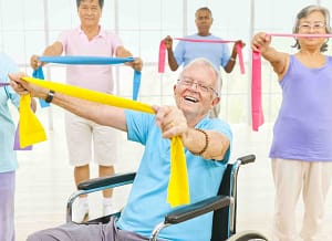 NDIS Client