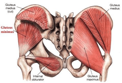 How To Reduce Falls Prevention Easily At Home For Free! 4 F