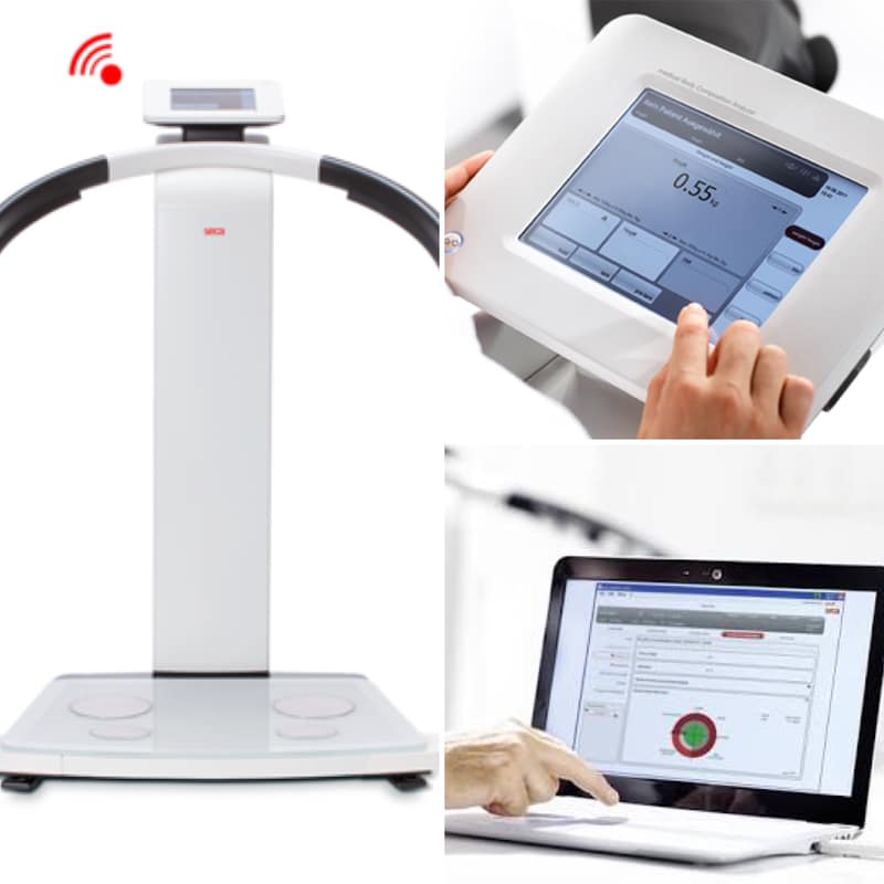 Body Composition Scan