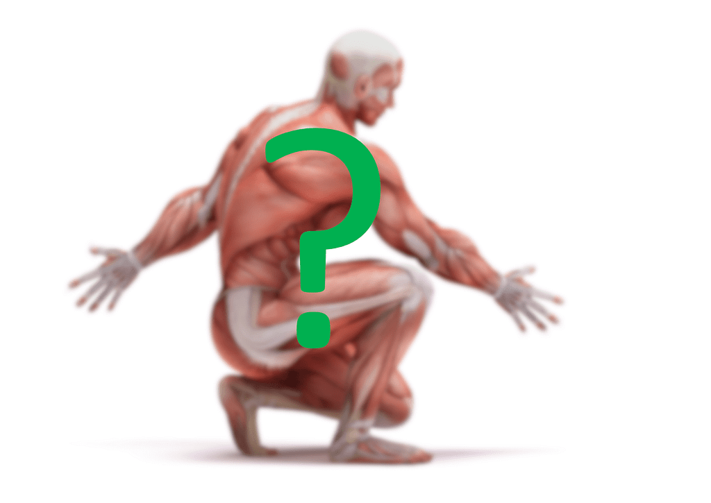 What Are My Core Muscles? What Are My Core Muscles?